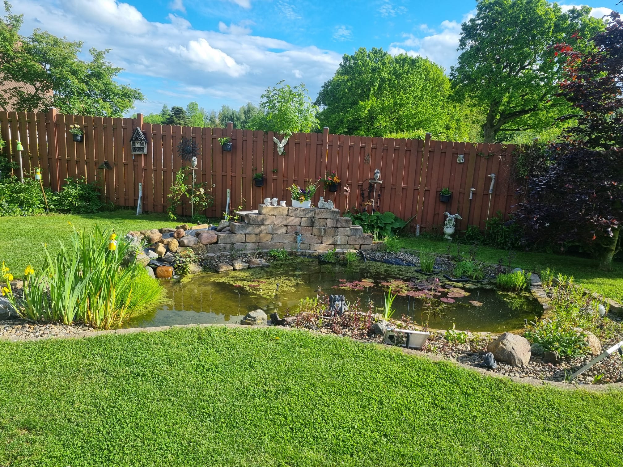 Angelegter Gartenteich mit Natursteinmauer und Bepflanzung in Braunschweig