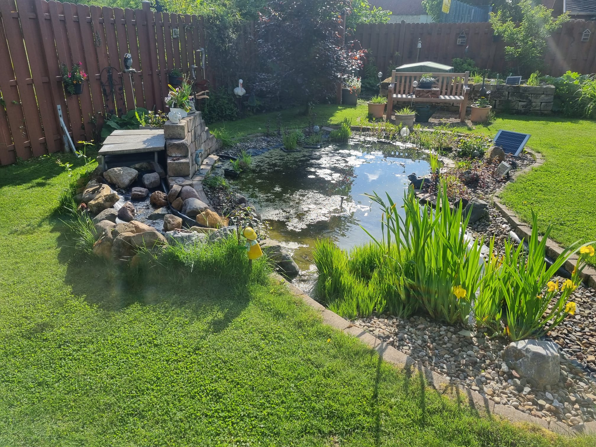 Gartenteich mit Bachlauf, Wasserpflanzen und Sitzbereich – Garten- und Landschaftsbau Braunschweig